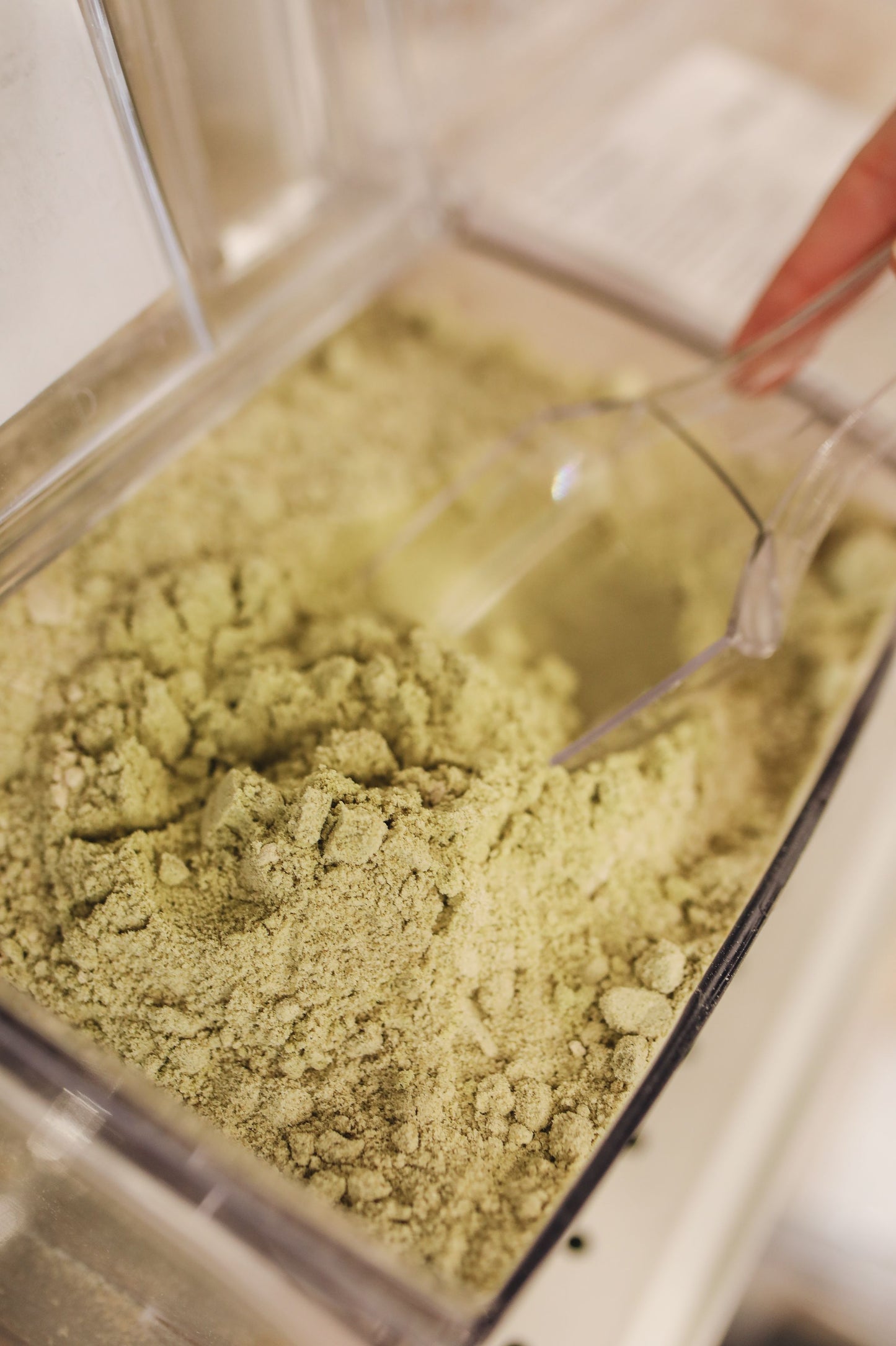 Sidr Powder-–Pure Botanical Hair & Skin Cleanser